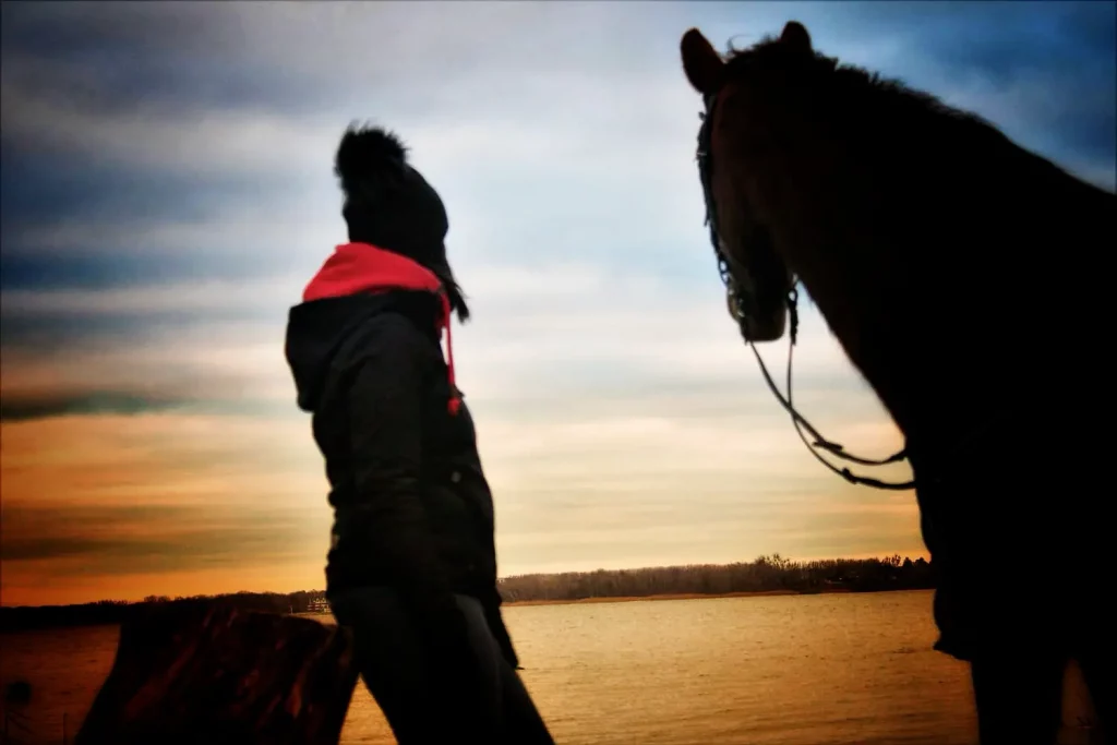 Person mit Pferd am Seeufer bei Sonnenuntergang