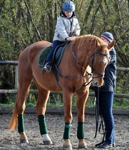 individuelle-betreuung