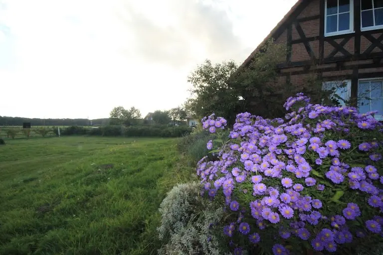 Romantische Kuscheltage